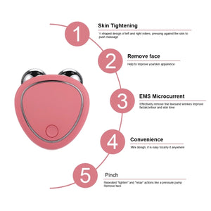 Portable Facial Micro-Current Beauty Instrument For Lifting Firming Thinning Double Roller Massage Instrument
