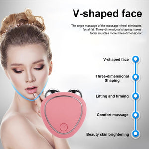 Portable Facial Micro-Current Beauty Instrument For Lifting Firming Thinning Double Roller Massage Instrument