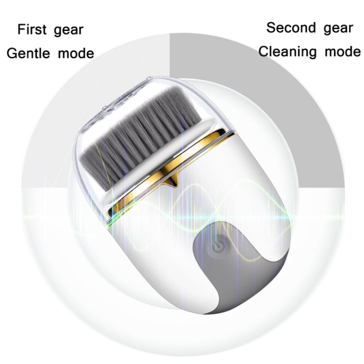 Electric Waterproof Cleansing Instrument Multi-Function Charging Beauty Instrument